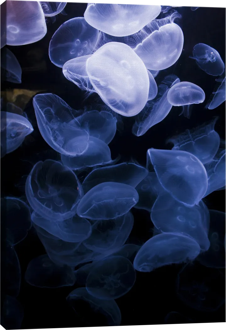 How To Flow Multi Artwork - Thumbnail - Image 3