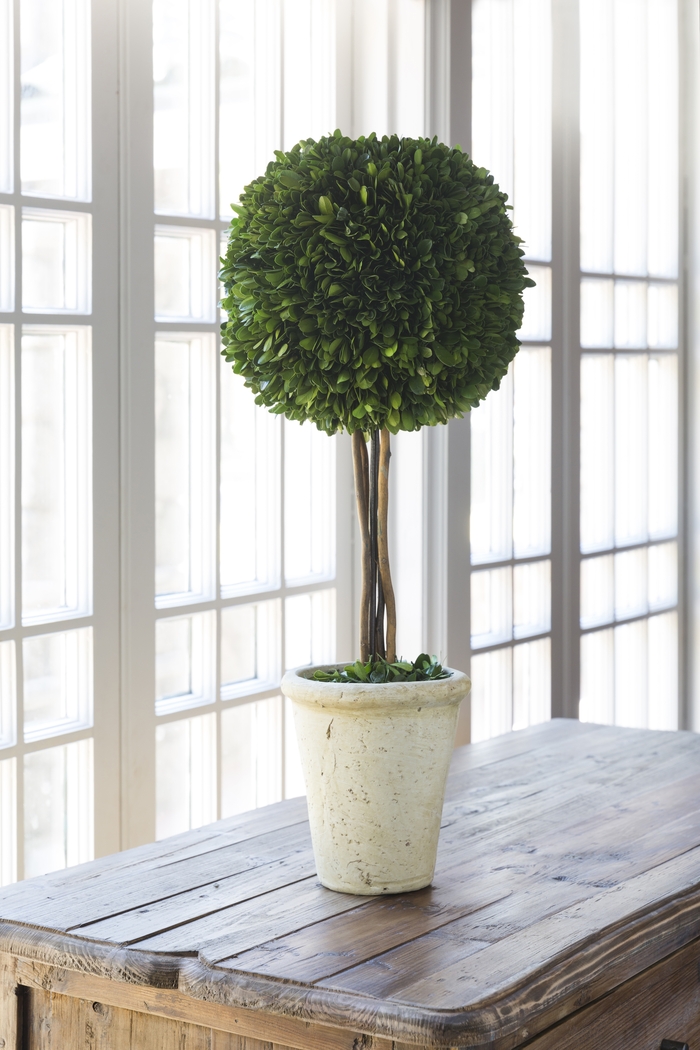 Hyacinth Green Floor Vase - Thumbnail - Image 2