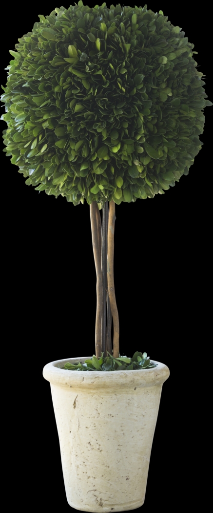 Hyacinth Green Floor Vase - Thumbnail - Image 1