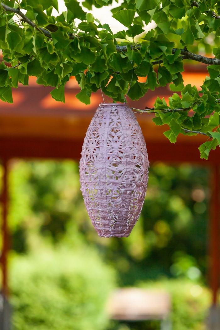 Hymin Estates Outdoor Pink Solar Lantern - Thumbnail - Image 10