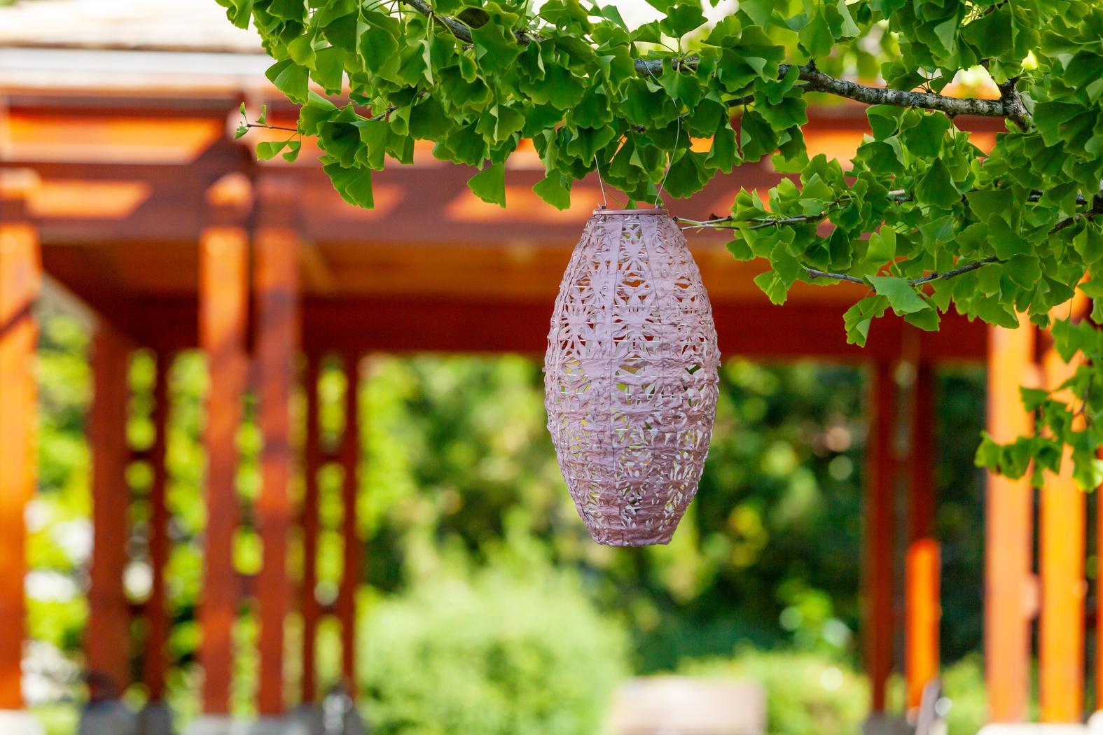 Hymin Estates Outdoor Pink Solar Lantern - Thumbnail - Image 11