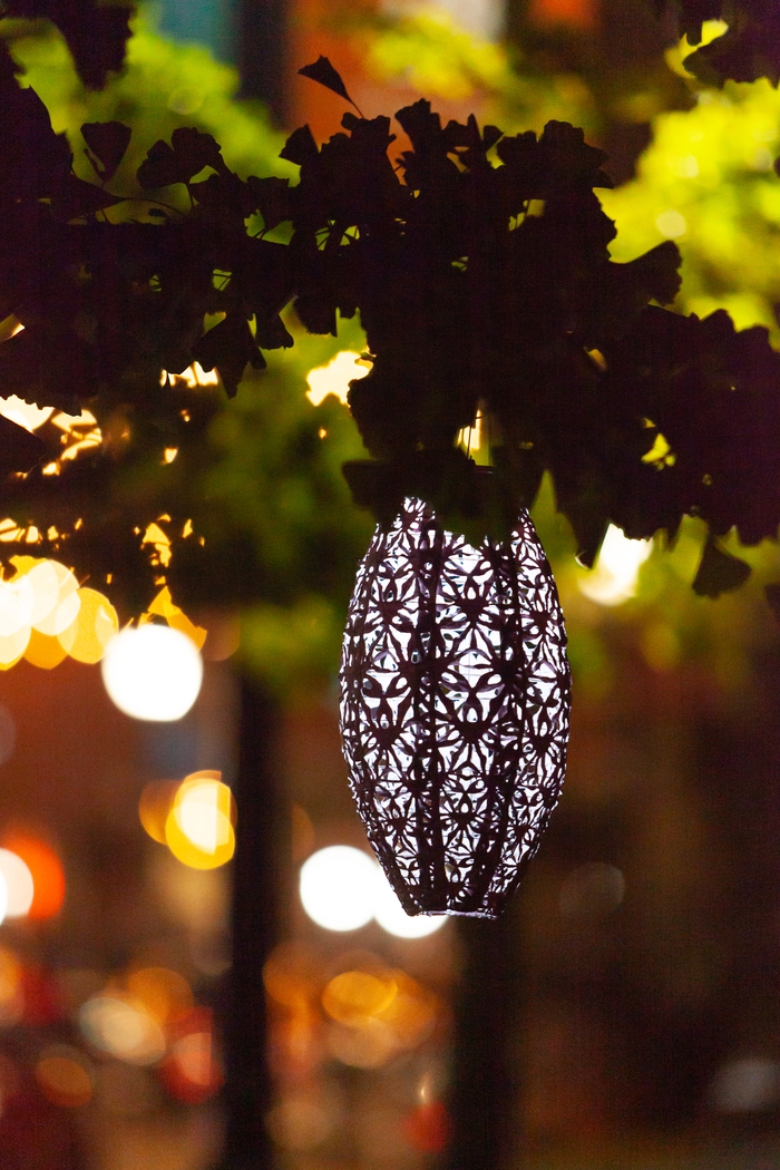 Hymin Estates Outdoor Pink Solar Lantern - Thumbnail - Image 15