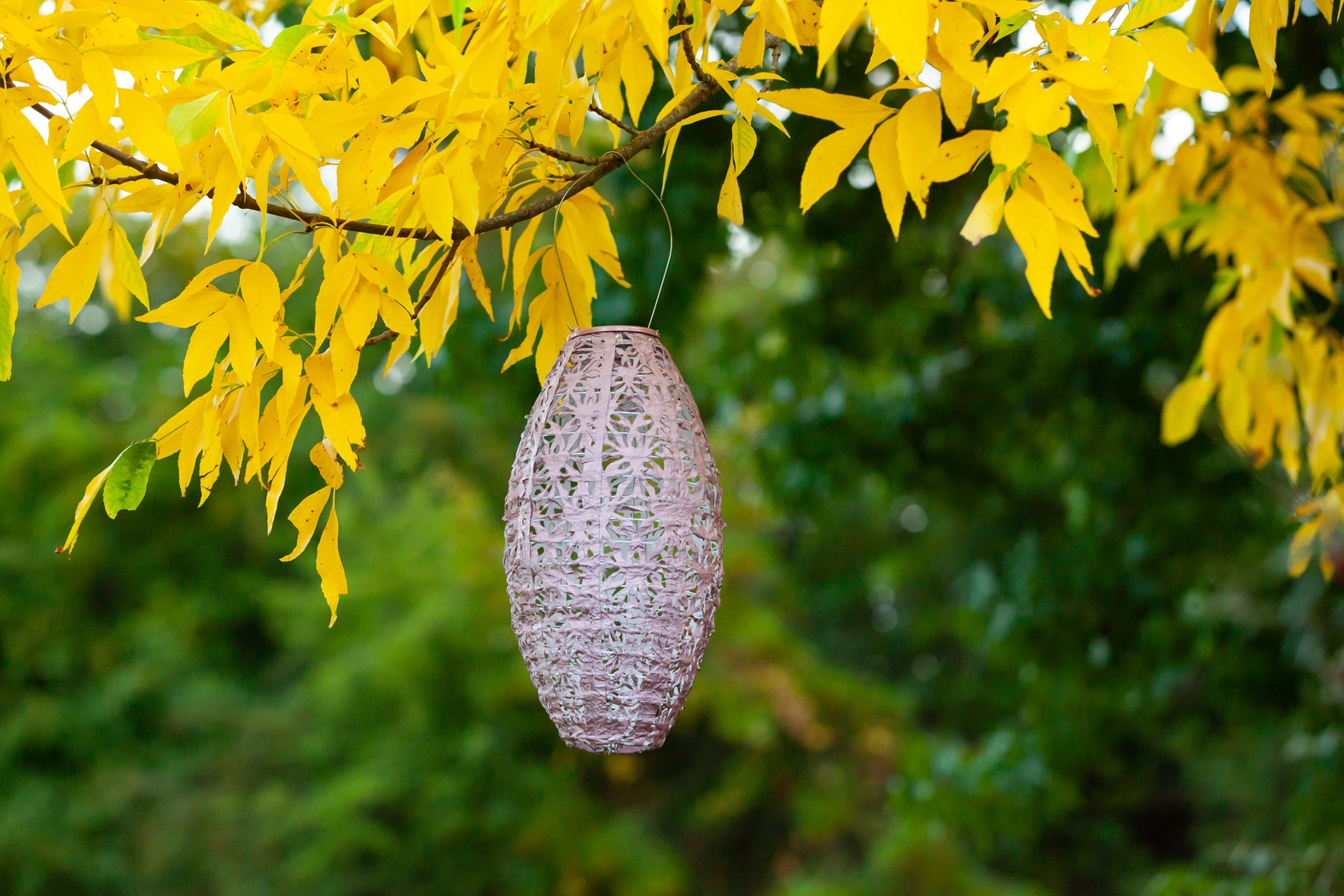 Hymin Estates Outdoor Pink Solar Lantern - Thumbnail - Image 3