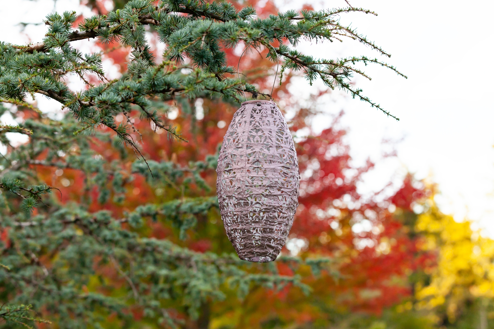 Hymin Estates Outdoor Pink Solar Lantern - Thumbnail - Image 4