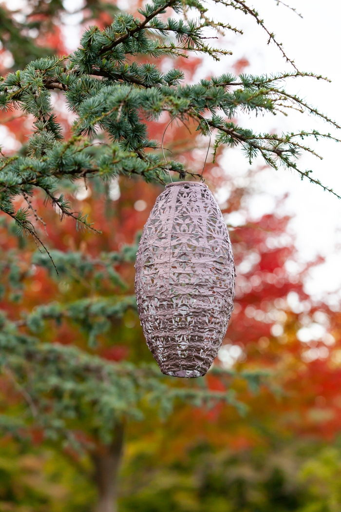 Hymin Estates Outdoor Pink Solar Lantern - Thumbnail - Image 5