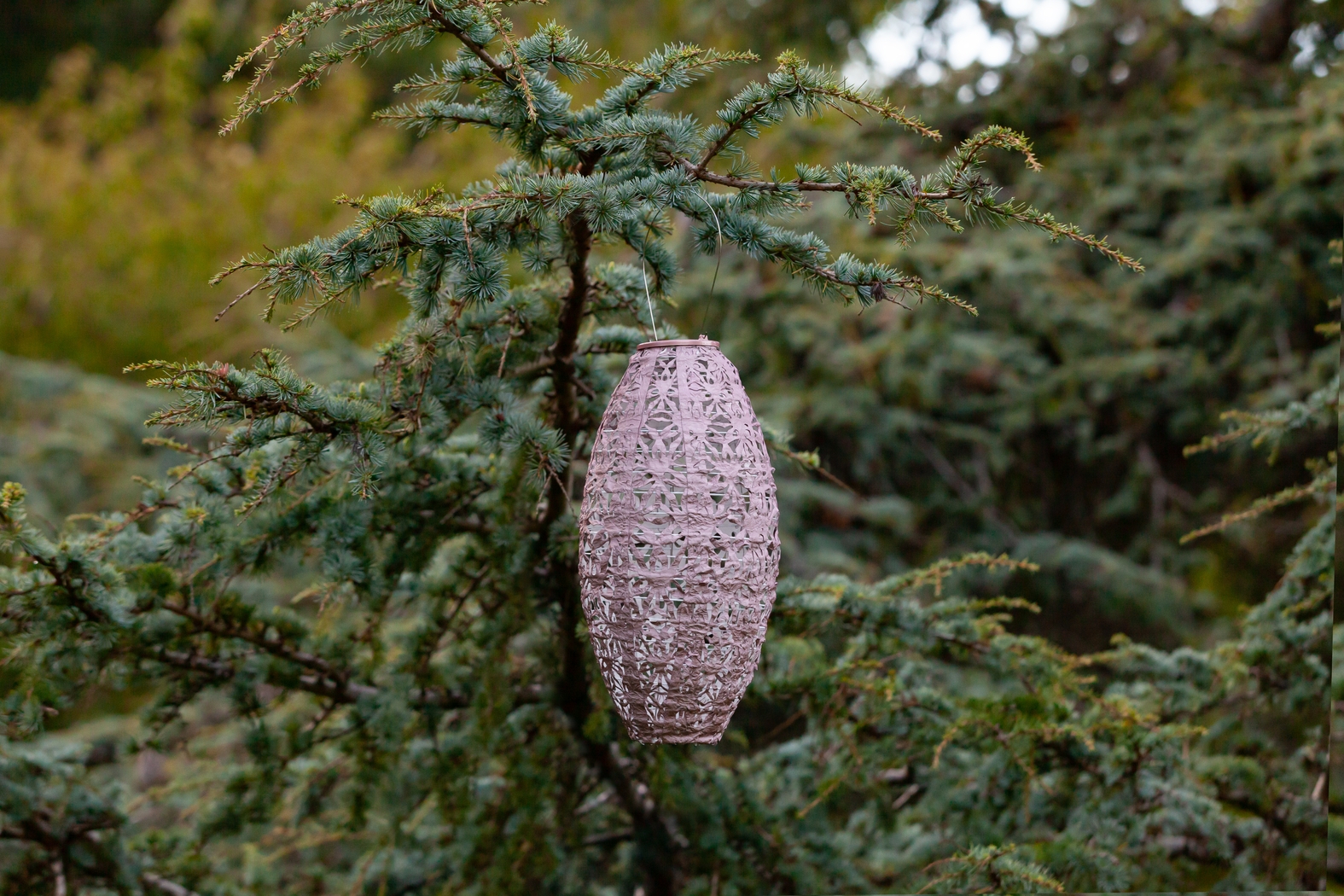 Hymin Estates Outdoor Pink Solar Lantern - Thumbnail - Image 6