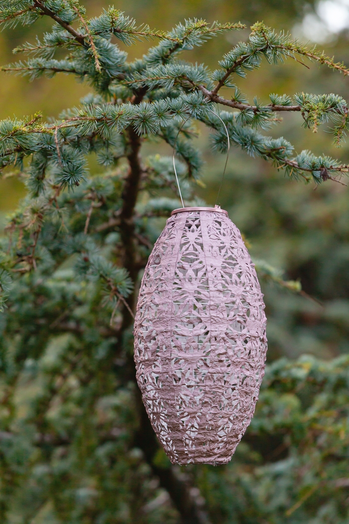 Hymin Estates Outdoor Pink Solar Lantern - Thumbnail - Image 8