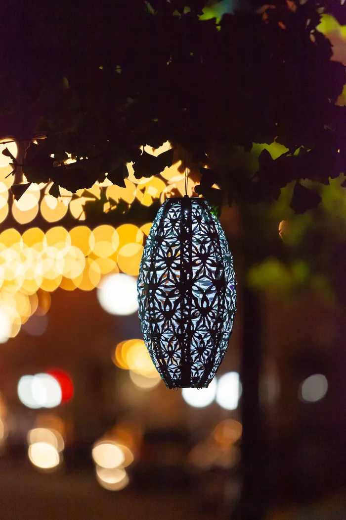 Hymin Estates Outdoor Sage Solar Lantern - Thumbnail - Image 17