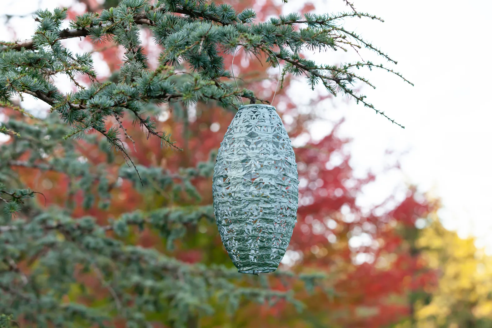 Hymin Estates Outdoor Sage Solar Lantern - Thumbnail - Image 4