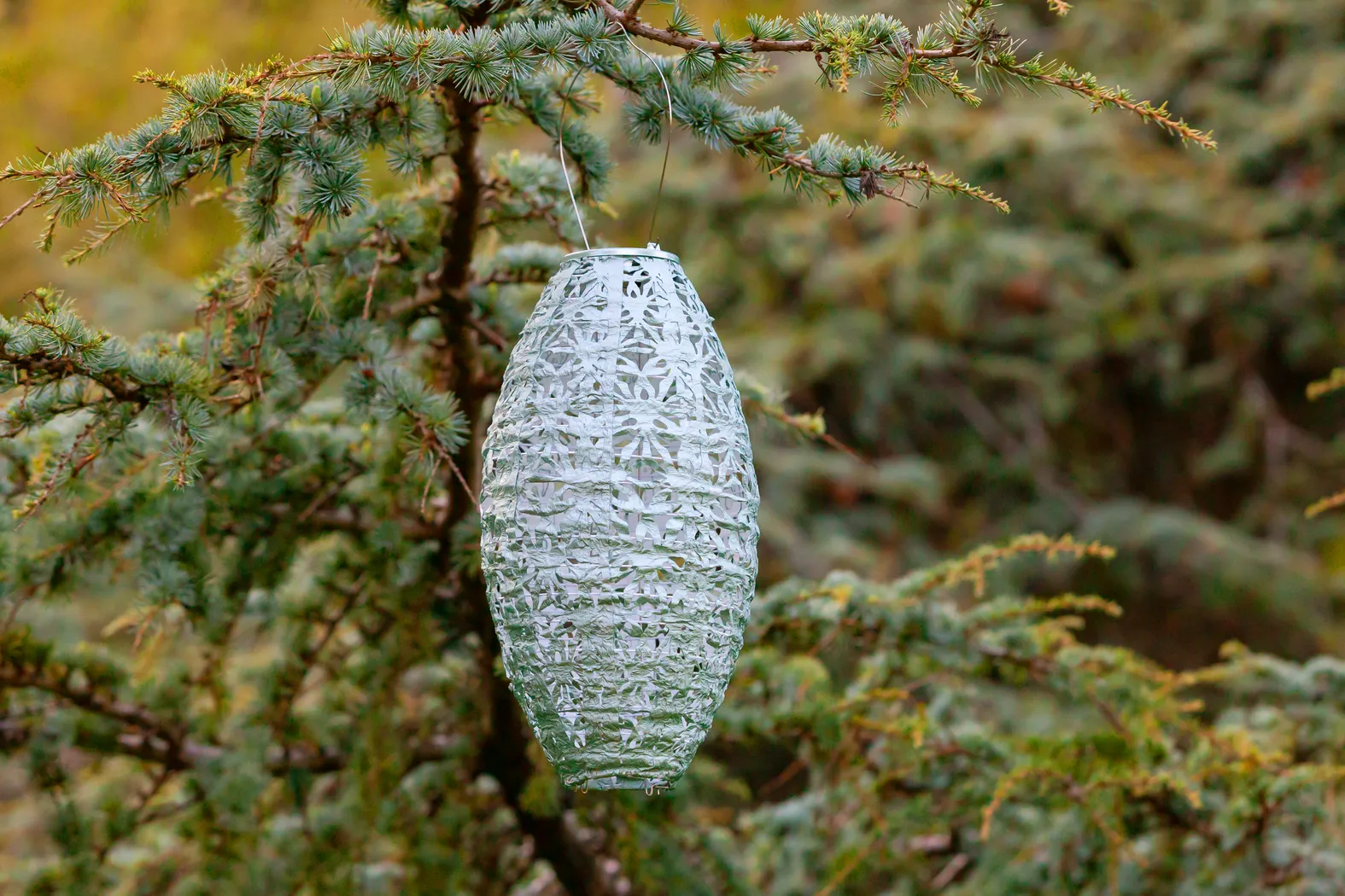 Hymin Estates Outdoor Sage Solar Lantern - Thumbnail - Image 7