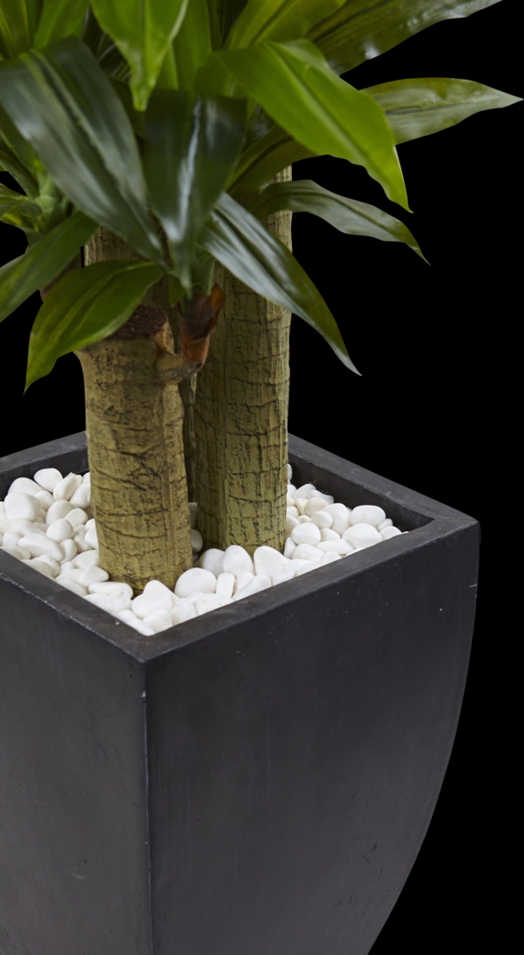 Ilani Green Dracaena Silk Tree - Thumbnail - Image 2