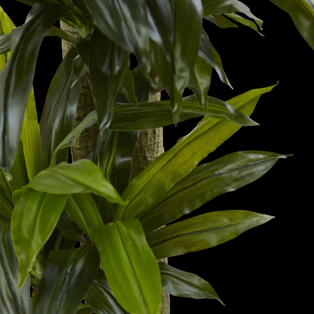 Ilani Green Dracaena Silk Tree - Thumbnail - Image 3