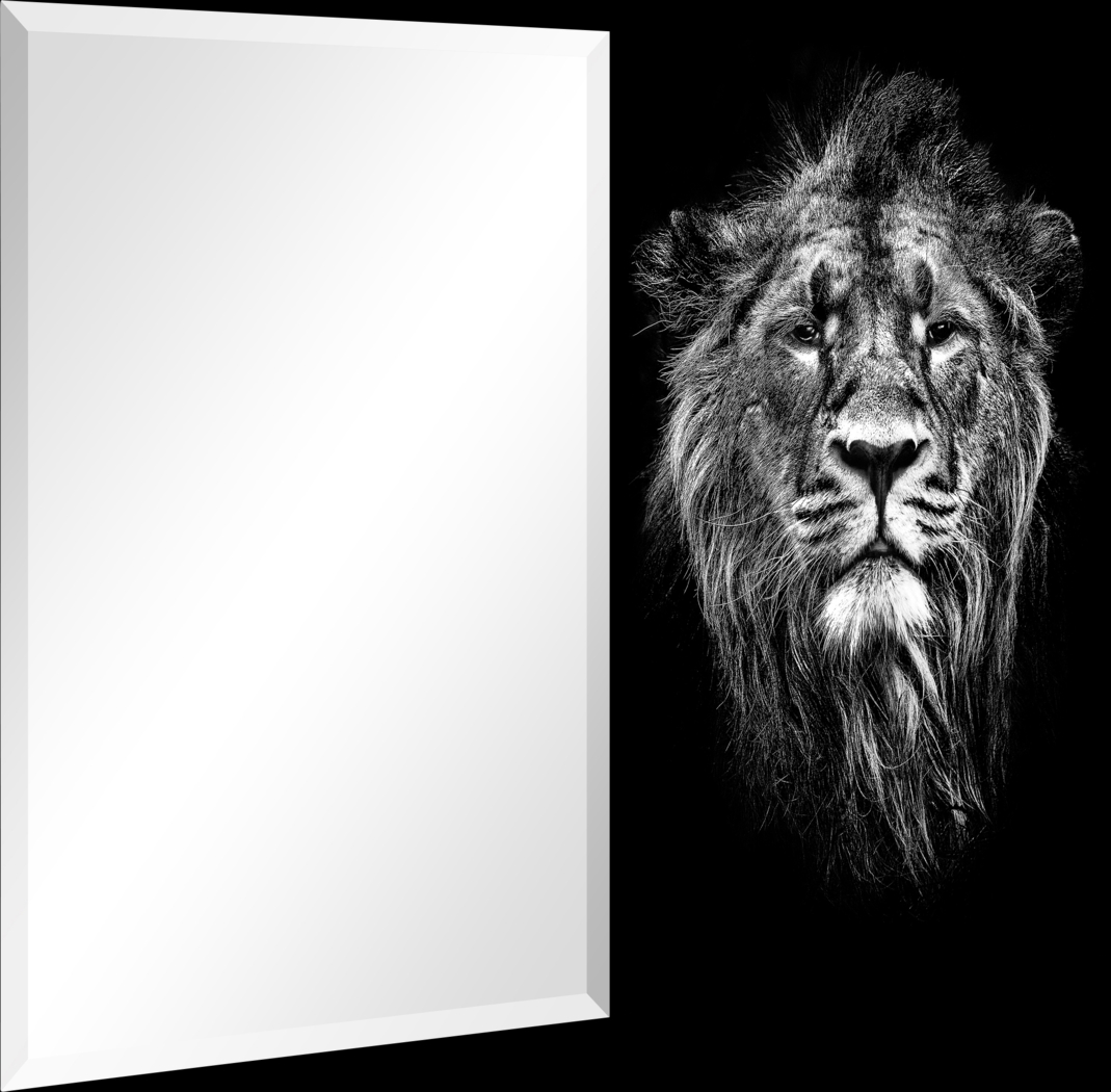 Inner Bravery Black Mirror - Thumbnail - Image 2