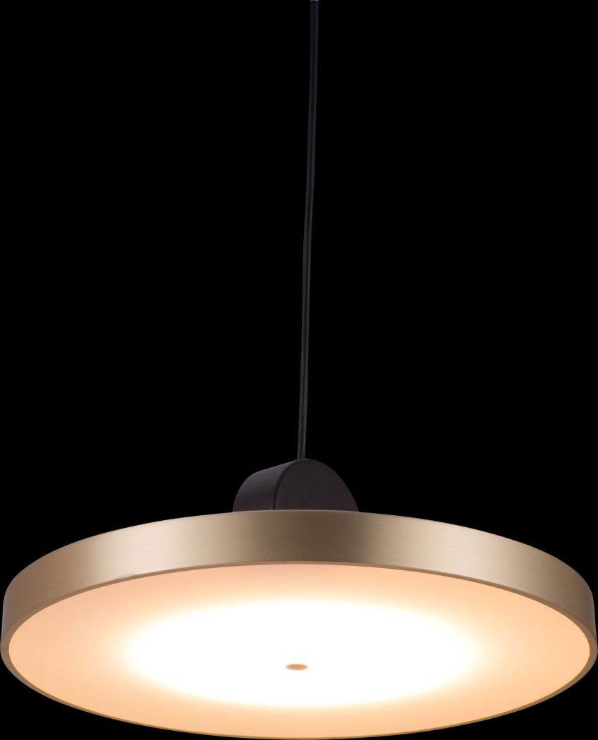 Intrepid Island Gold Chandelier - Thumbnail - Image 5