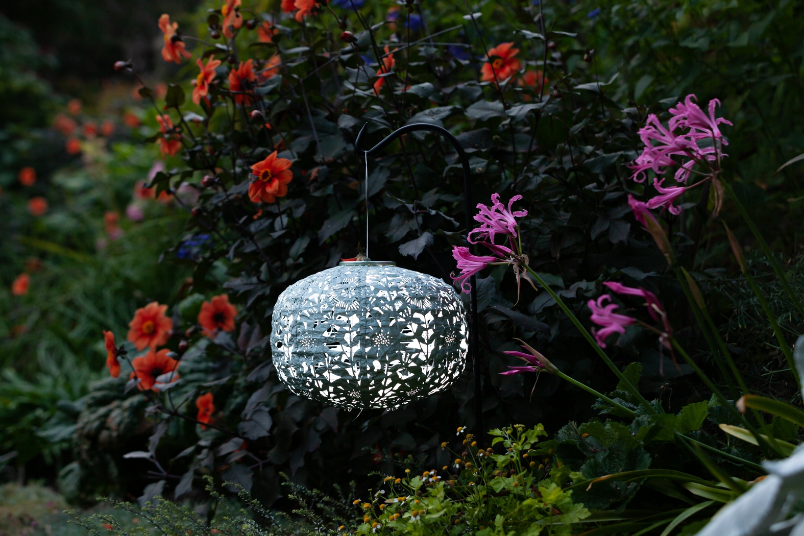 Irian Island Outdoor Sage Solar Lantern - Thumbnail - Image 22