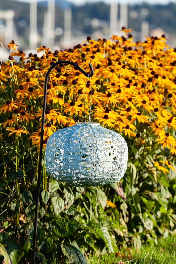 Irian Island Outdoor Sage Solar Lantern - Thumbnail - Image 6