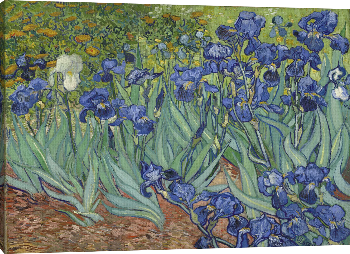 Irise In The Meadow Multi Artwork - Thumbnail - Image 3