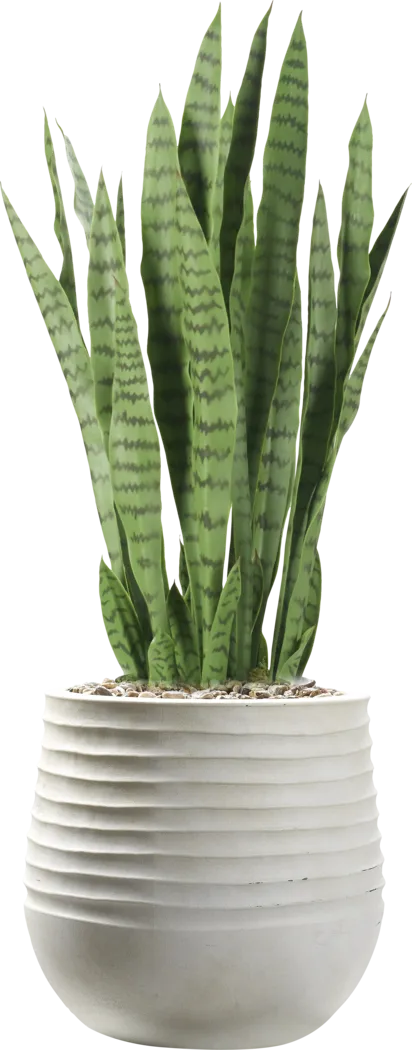 Islara 42 in. UV Artificial Sansevieria in White Planter - Thumbnail - Image 1