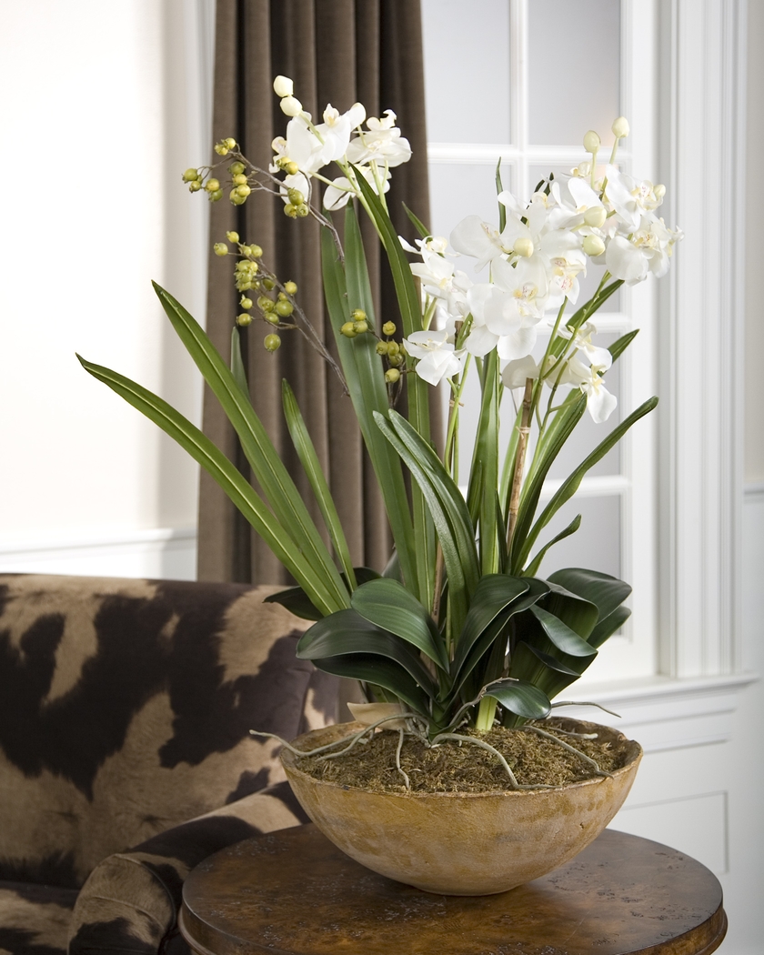 Islewood White Faux Orchid - Thumbnail - Image 2