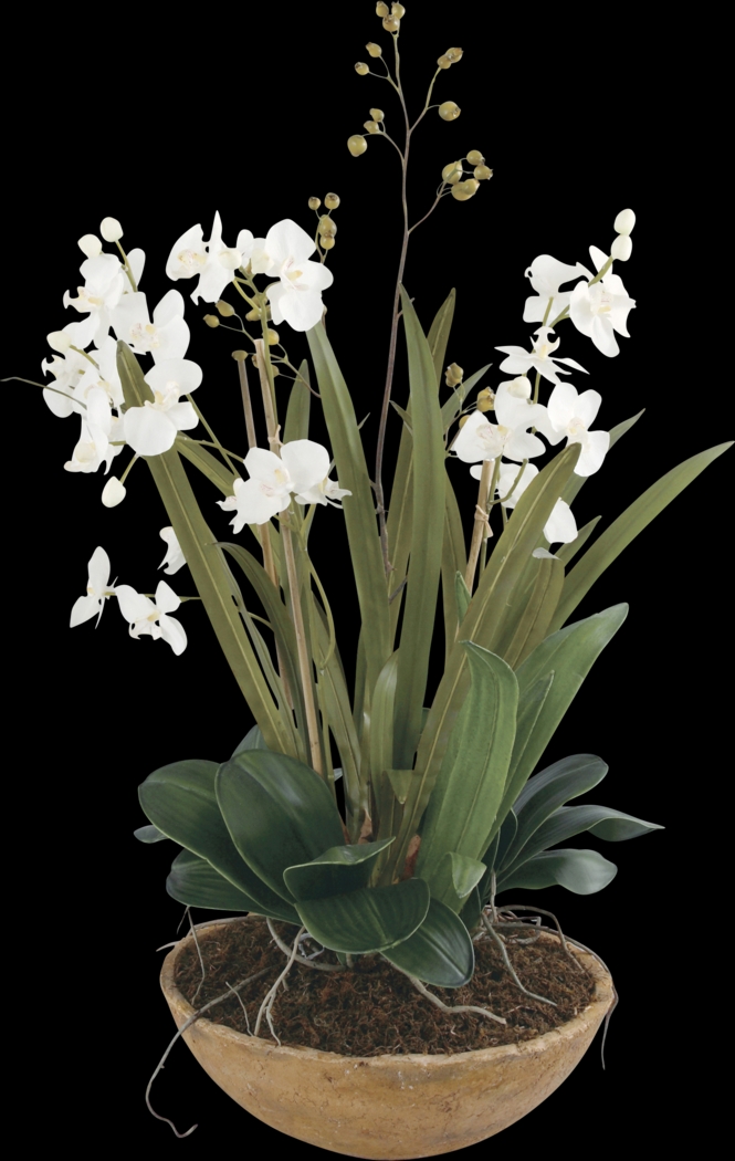 Islewood White Faux Orchid - Thumbnail - Image 1