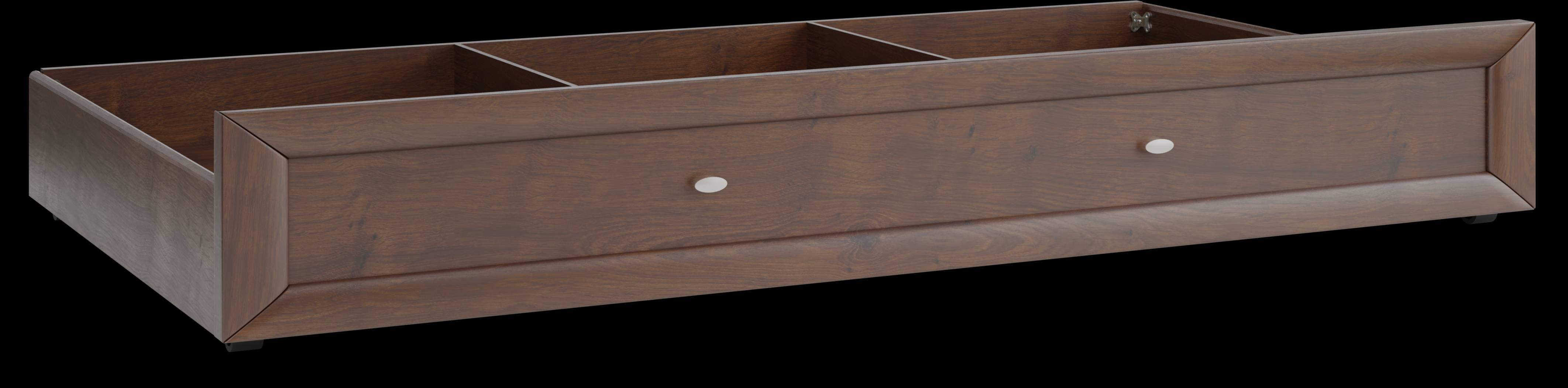 Kids Ivy League 2.0 Walnut Twin Storage Trundle - Thumbnail - Image 1