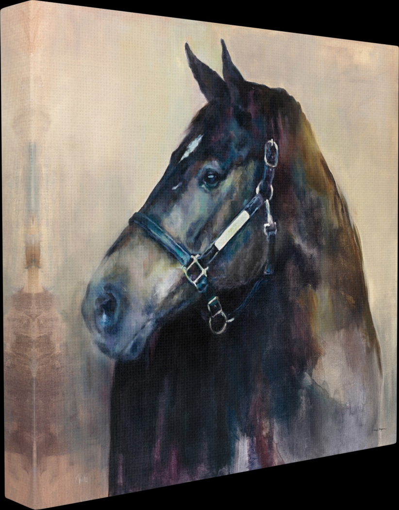 Izzy's Stare Artwork - Thumbnail - Image 1