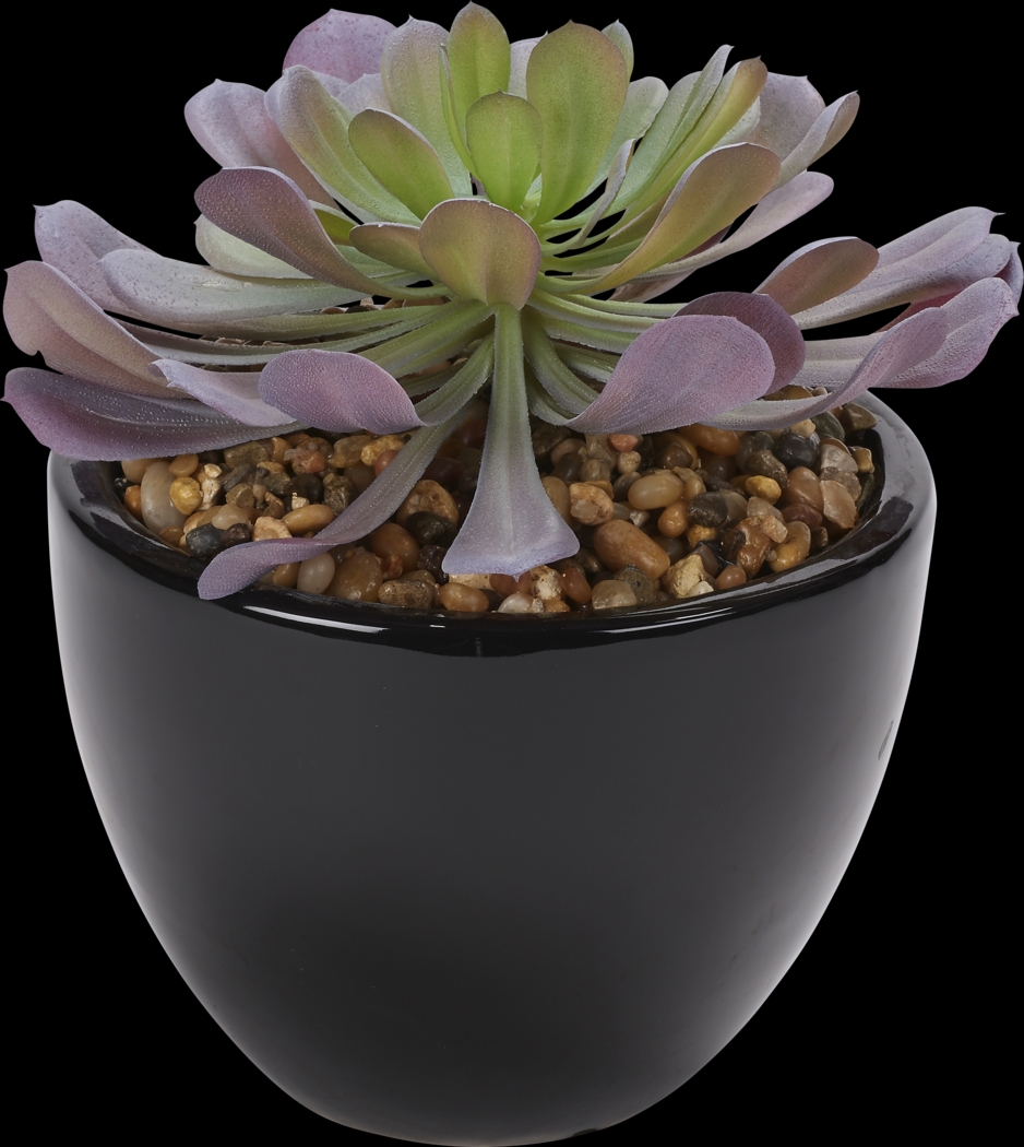 Jamal Green Echeveria Silk Plant - Thumbnail - Image 1