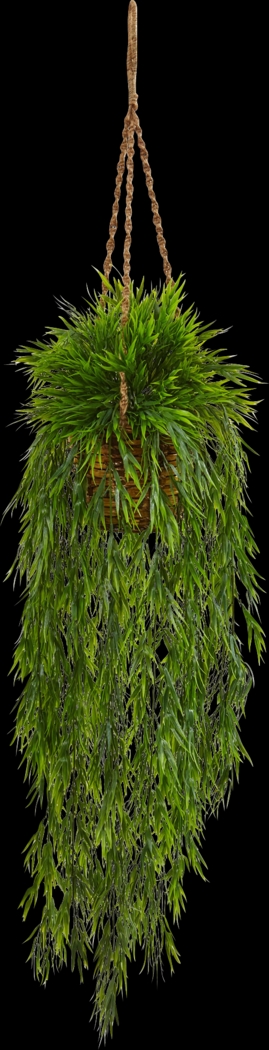 Janeli Green Bamboo Silk Plant - Thumbnail - Image 1