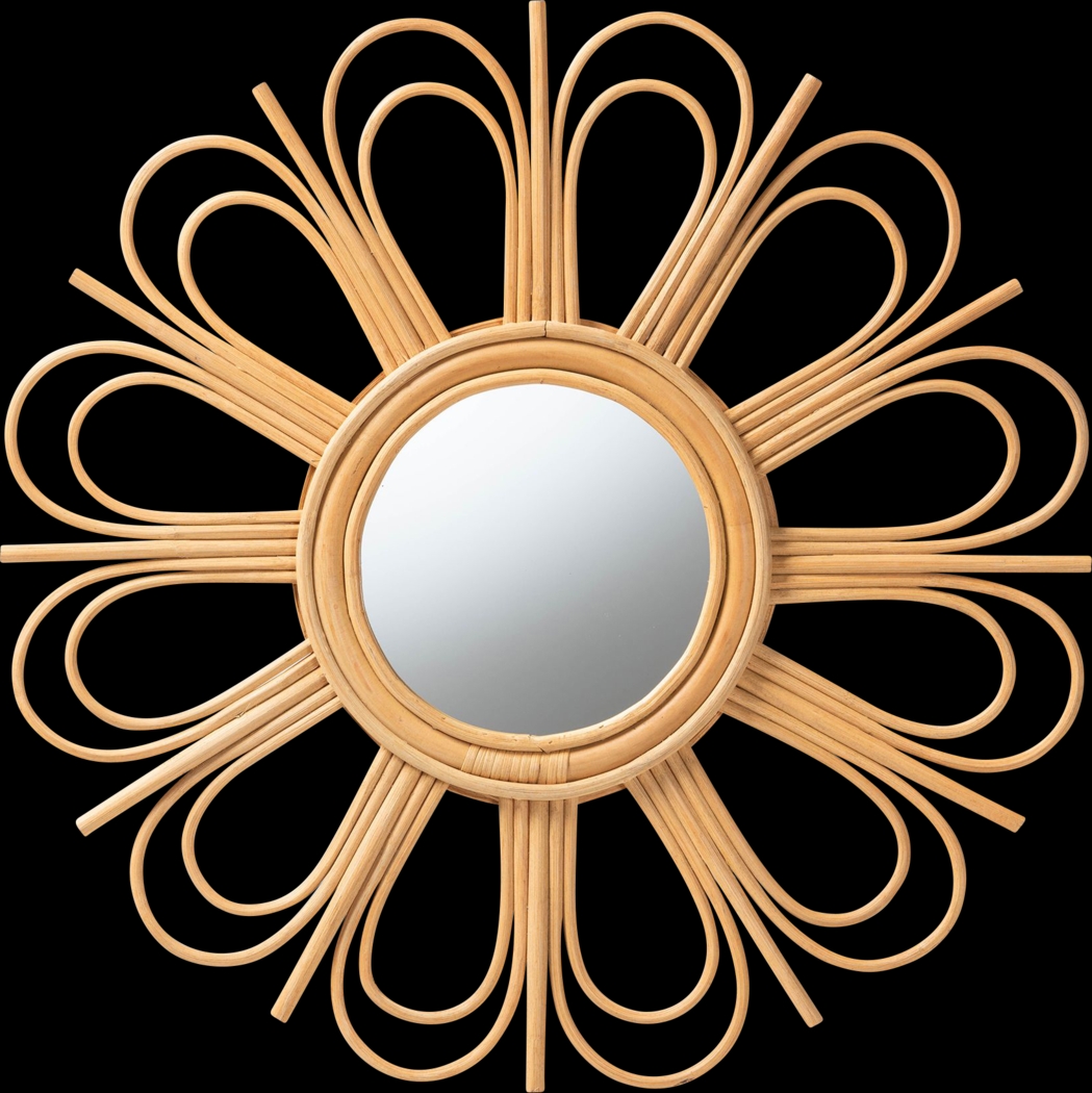 Janila Brown Accent Mirror - Thumbnail - Image 1