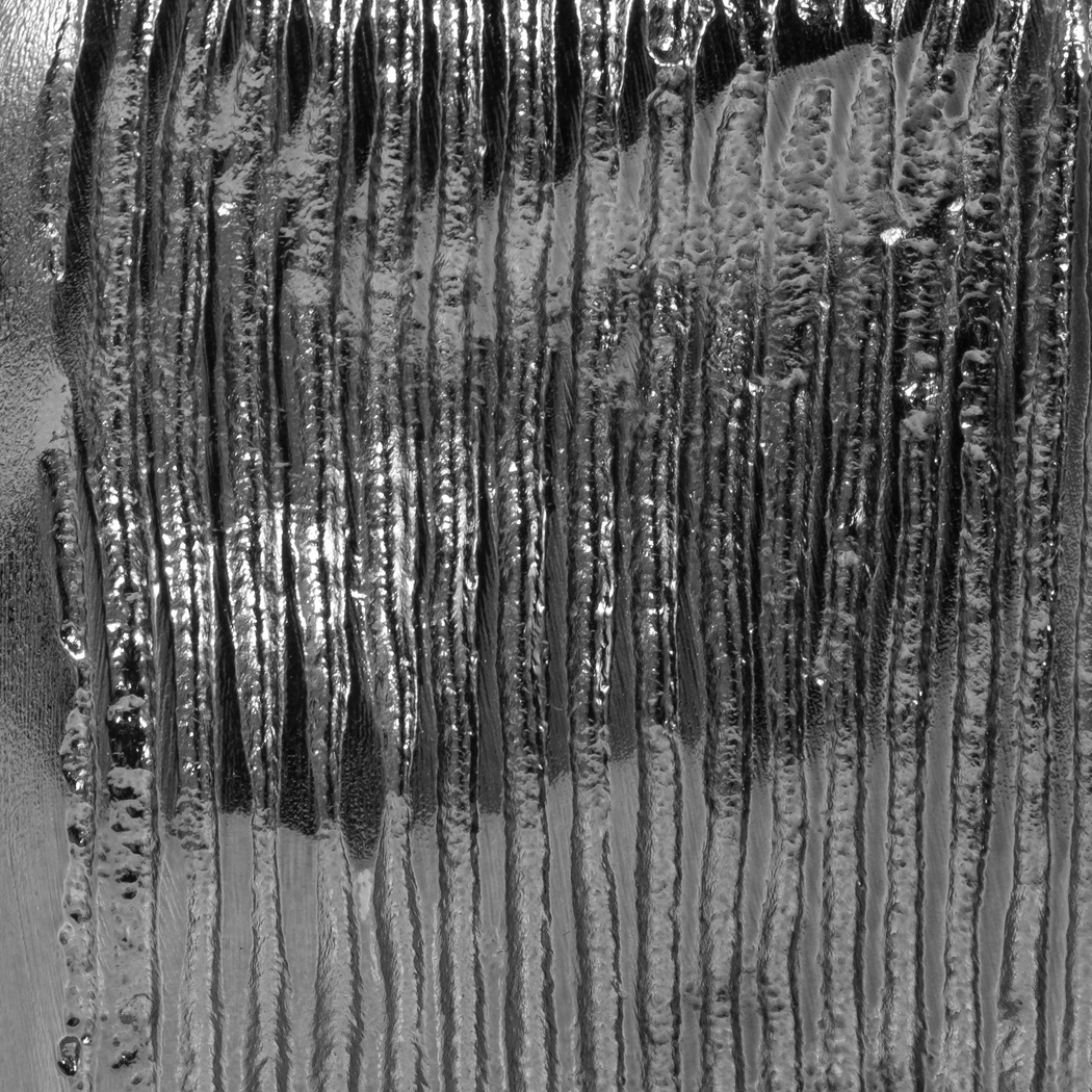 Janoski Multi 12 in. Bowl - Thumbnail - Image 4