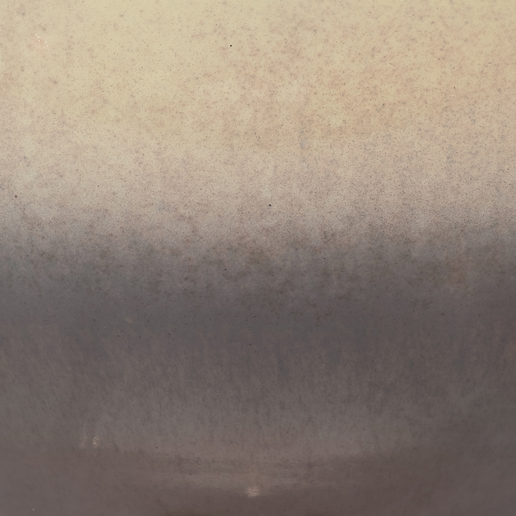 Janoski Multi 12 in. Bowl - Thumbnail - Image 5