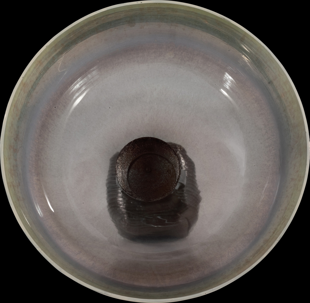 Janoski Multi 14 in. Bowl - Thumbnail - Image 6