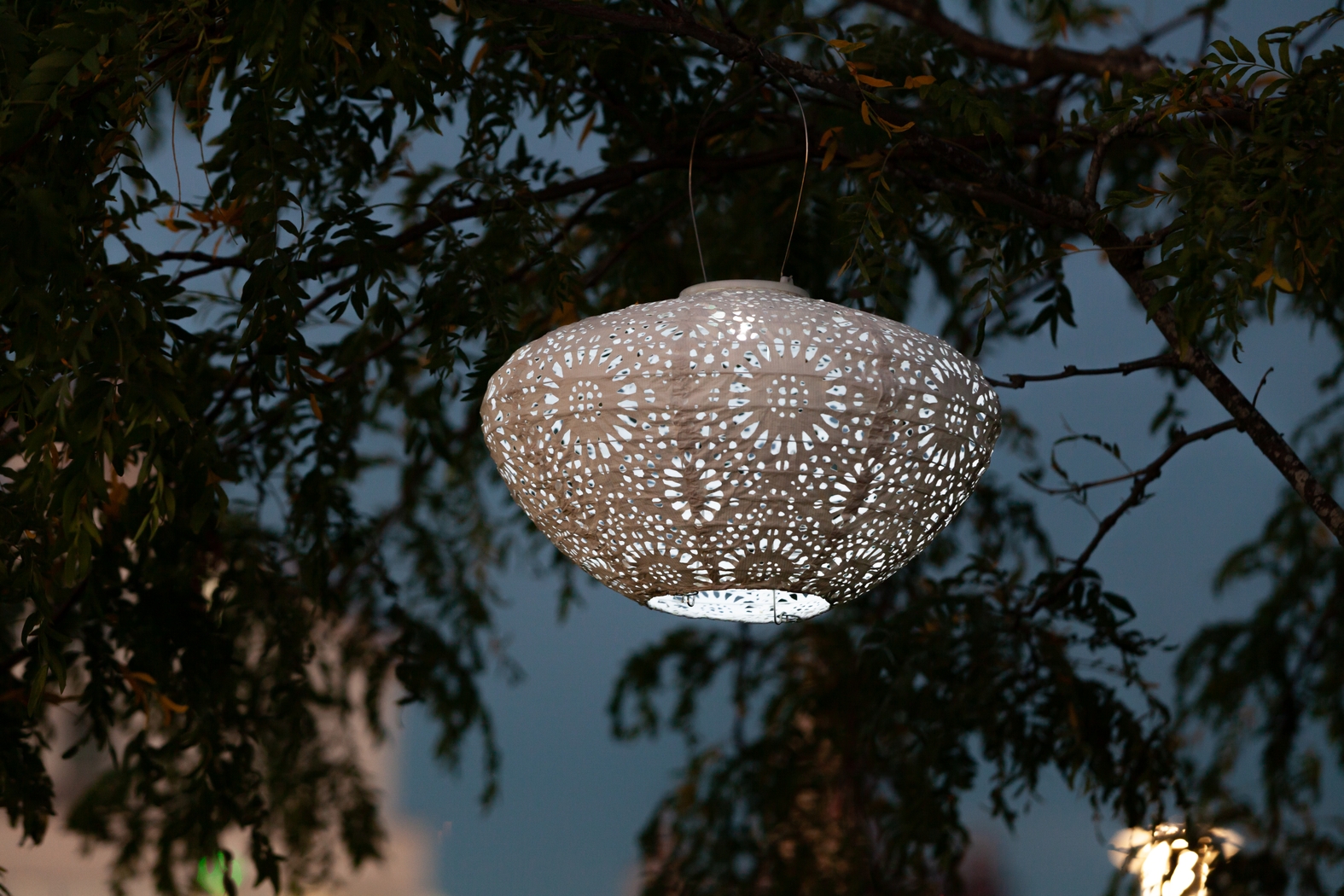 Jayla Reef Outdoor White Solar Lantern - Thumbnail - Image 10