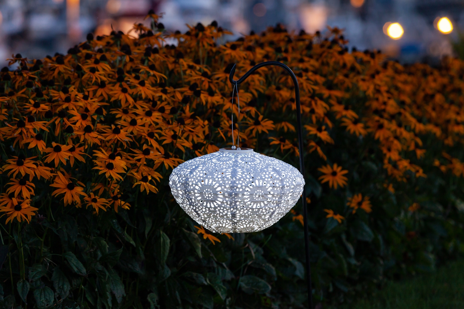 Jayla Reef Outdoor White Solar Lantern - Thumbnail - Image 12