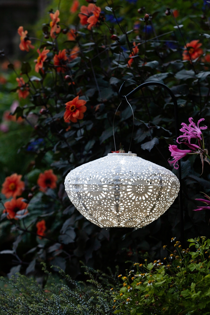 Jayla Reef Outdoor White Solar Lantern - Thumbnail - Image 13