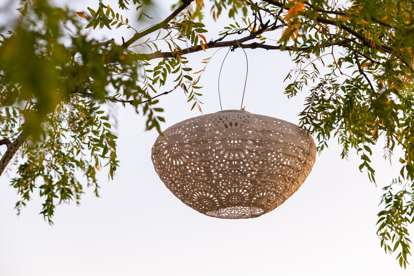 Jayla Reef Outdoor White Solar Lantern - Thumbnail - Image 5