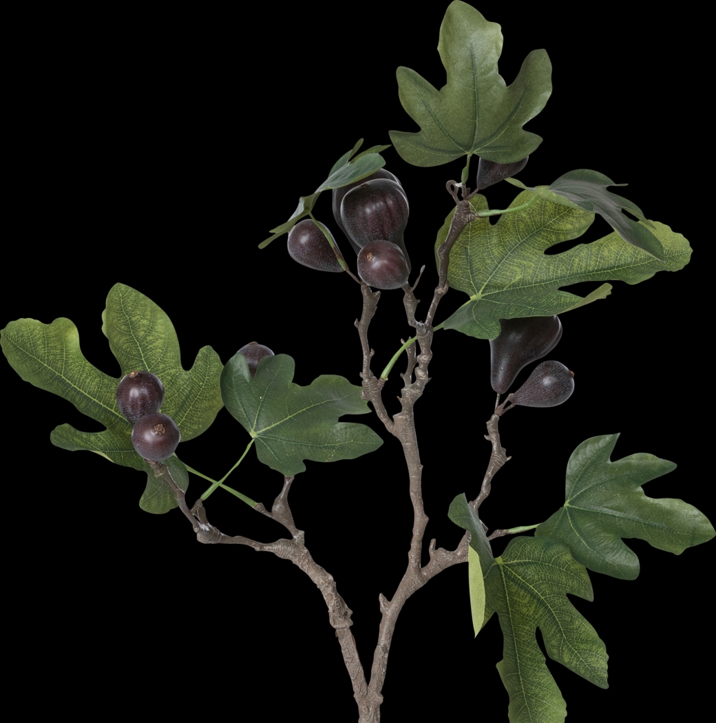 Jayleen Green Topiary - Thumbnail - Image 3