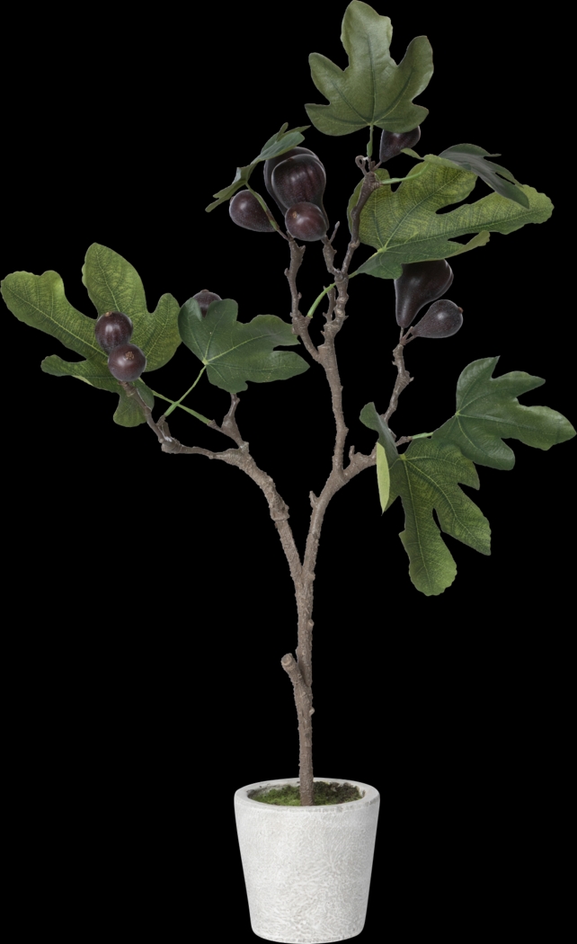 Jayleen Green Topiary - Thumbnail - Image 1