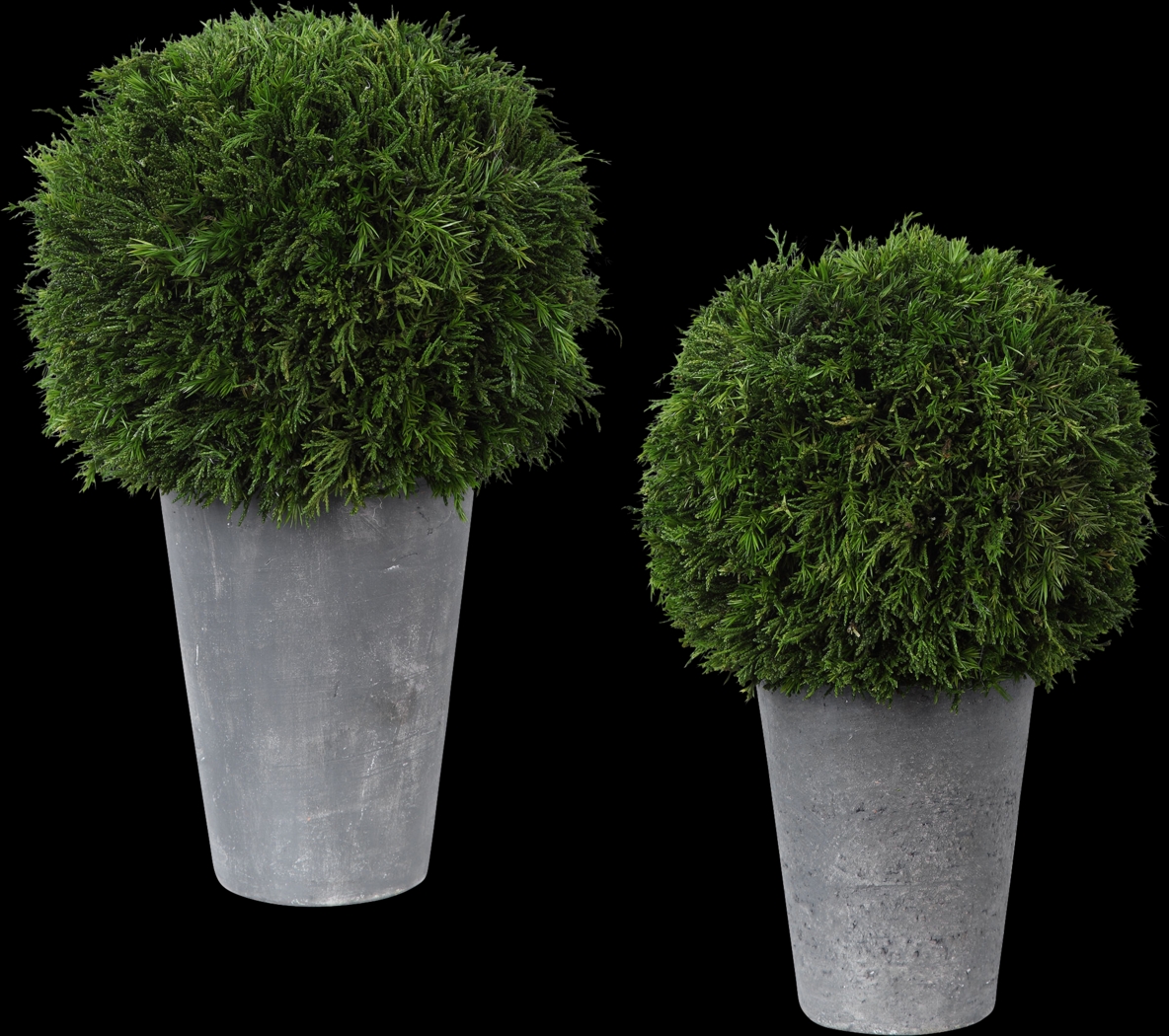 Jelinna Gray Decorative Plant, Set of 2 - Thumbnail - Image 1