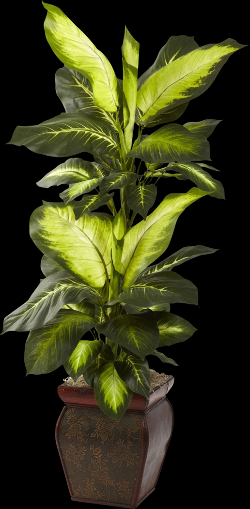 Jezelia Green Dieffenbachia Silk Plant - Thumbnail - Image 1