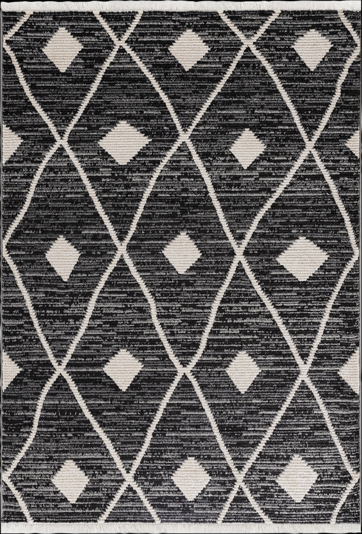 Jolcona Black 7'10 x 10'1 Rug - Thumbnail - Image 1