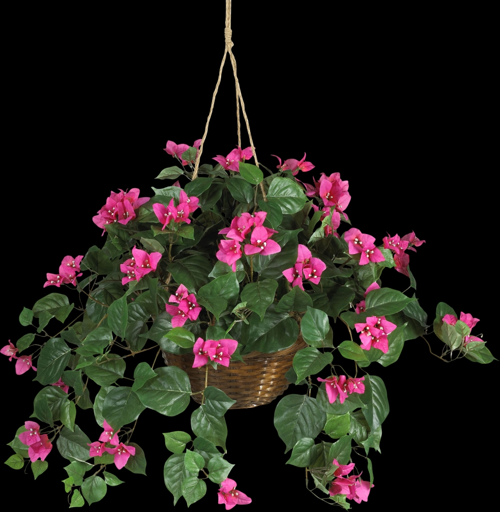 Jonelle Pink Bougainvillea Silk Plant - Thumbnail - Image 1