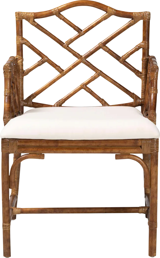 Josumu Brown Arm Chair - Thumbnail - Image 4