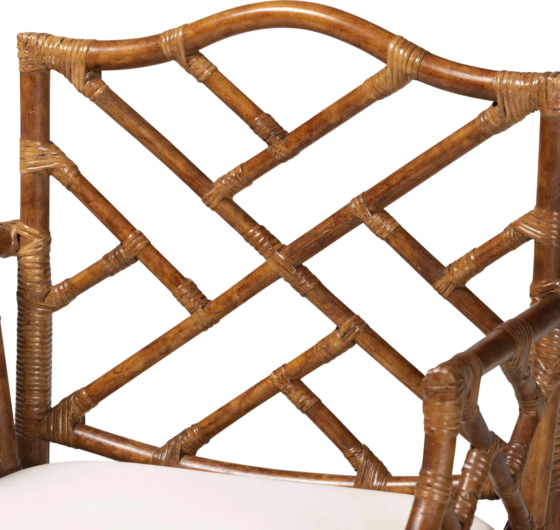 Josumu Brown Arm Chair - Thumbnail - Image 8