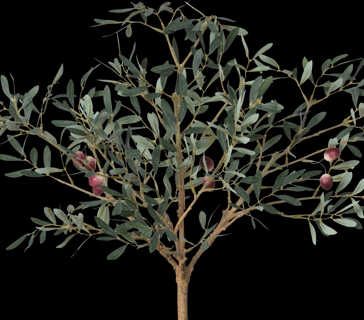 Judemein Green Topiary - Thumbnail - Image 3