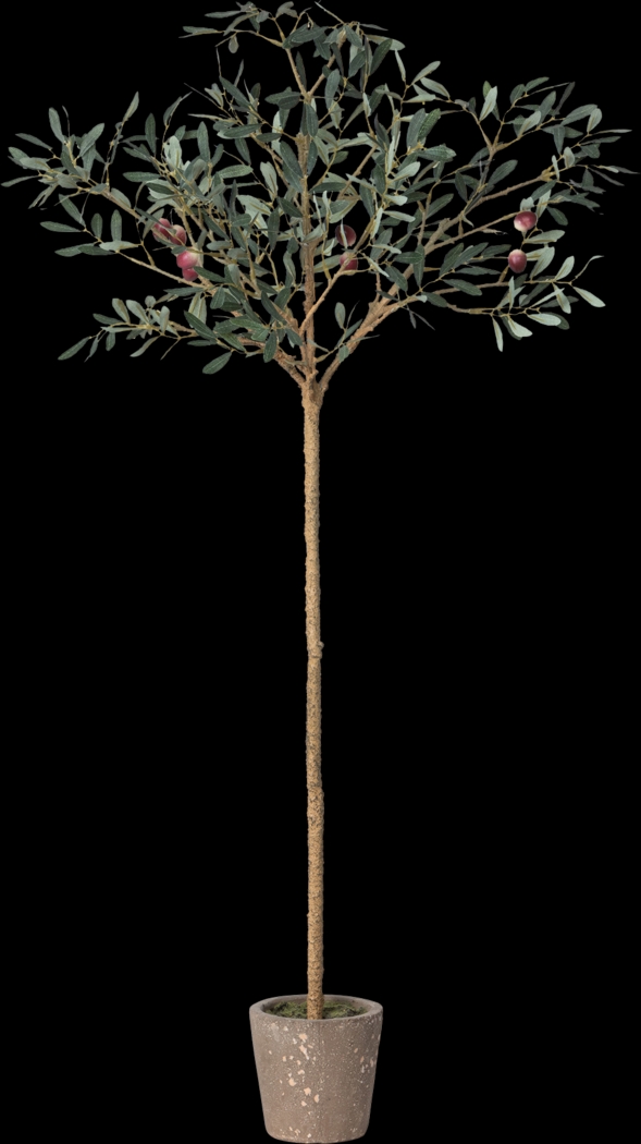 Judemein Green Topiary - Thumbnail - Image 1