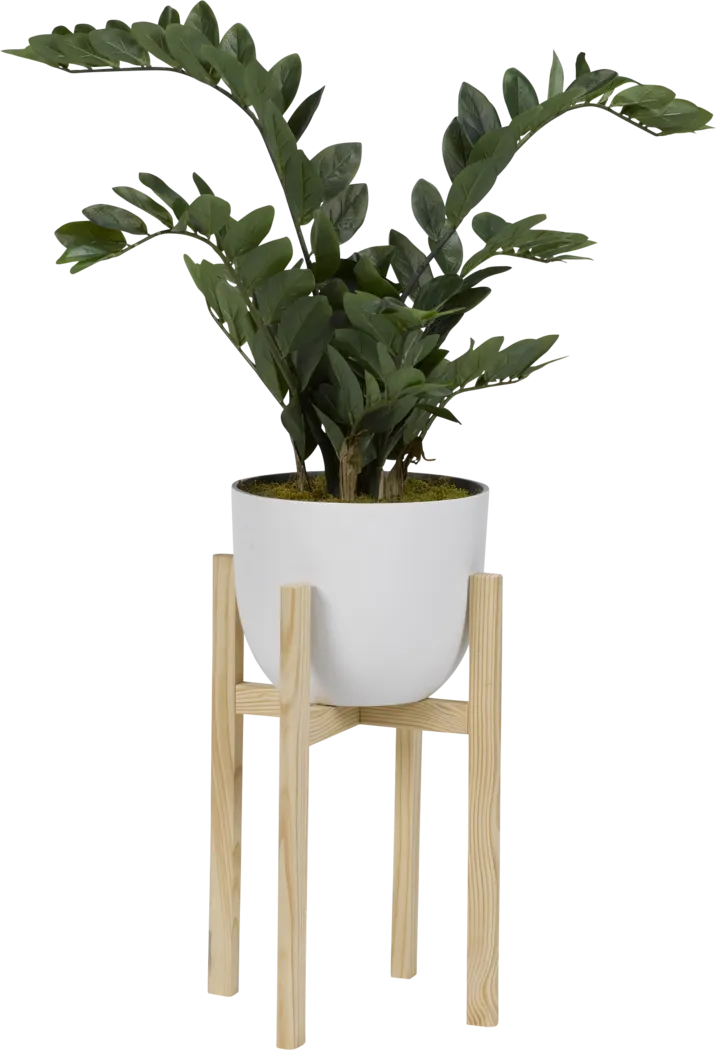 Kaedyn Green Zamiifolia Small Silk Plant - Thumbnail - Image 1