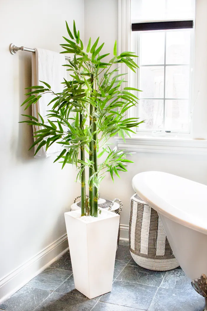 Kaio Green Bamboo Indoor/Outdoor Silk Tree - Thumbnail - Image 5