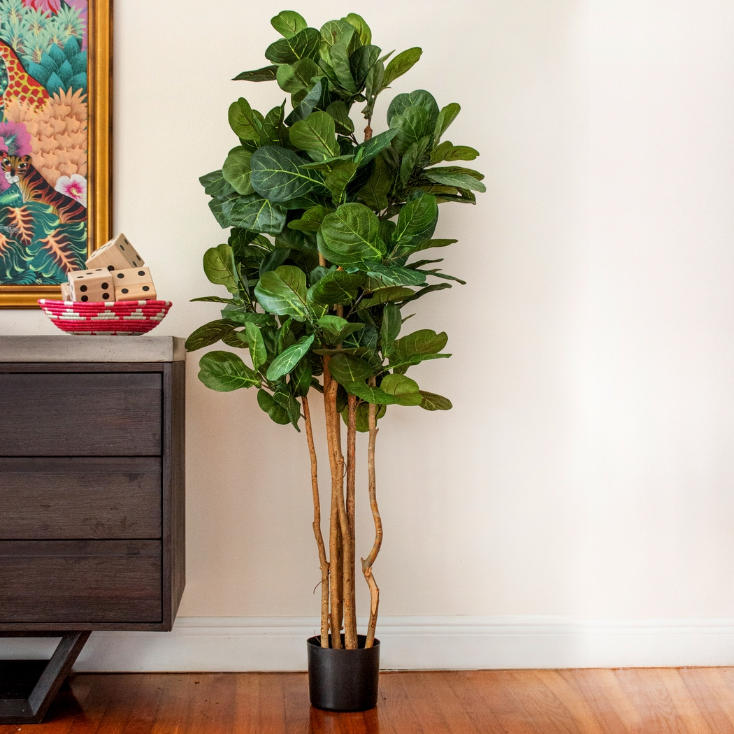 Kaiyah Green Fiddle Leaf Silk Tree - Thumbnail - Image 3