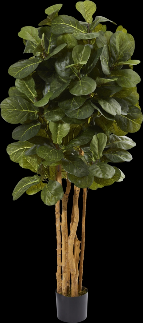 Kaiyah Green Fiddle Leaf Silk Tree - Thumbnail - Image 1